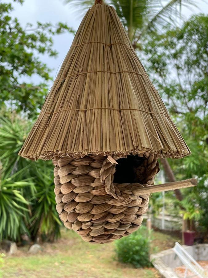 Cosy Vanille À La Baie Orientale Cul de Sac Exterior foto